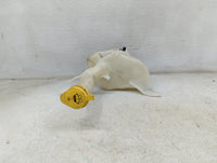 2019-2022 Ram 2500 Windshield Washer Fluid Reservoir Bottle Oem - Oemusedautoparts1.com