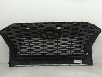 2020-2022 Hyundai Palisade Front Grille Bumper Not Included - Oemusedautoparts1.com