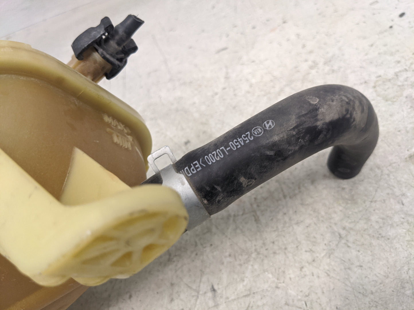 2021-2021 Kia K5 Radiator Coolant Overflow Expansion Tank Bottle 1366063 - Oemusedautoparts1.com