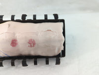 2023 Dodge Challenger Driver Curtain Air Bag Oem - Oemusedautoparts1.com