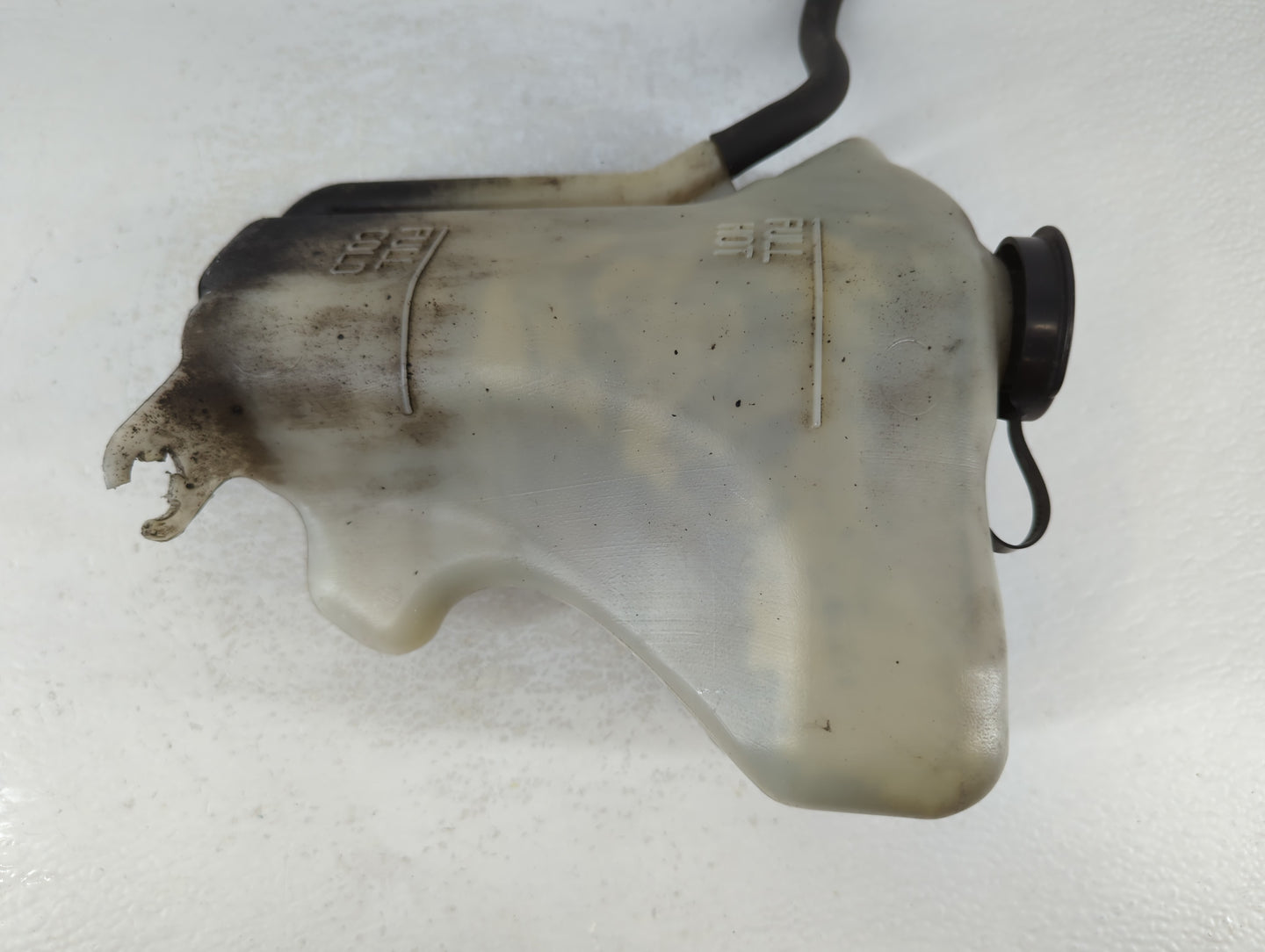 2008-2011 Ford Focus Windshield Washer Fluid Reservoir Bottle Oem - Oemusedautoparts1.com