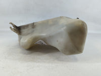 2008-2011 Ford Focus Windshield Washer Fluid Reservoir Bottle Oem - Oemusedautoparts1.com
