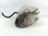 2008-2011 Ford Focus Windshield Washer Fluid Reservoir Bottle Oem - Oemusedautoparts1.com