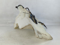1999-2005 Pontiac Montana Windshield Washer Fluid Reservoir Bottle Oem - Oemusedautoparts1.com