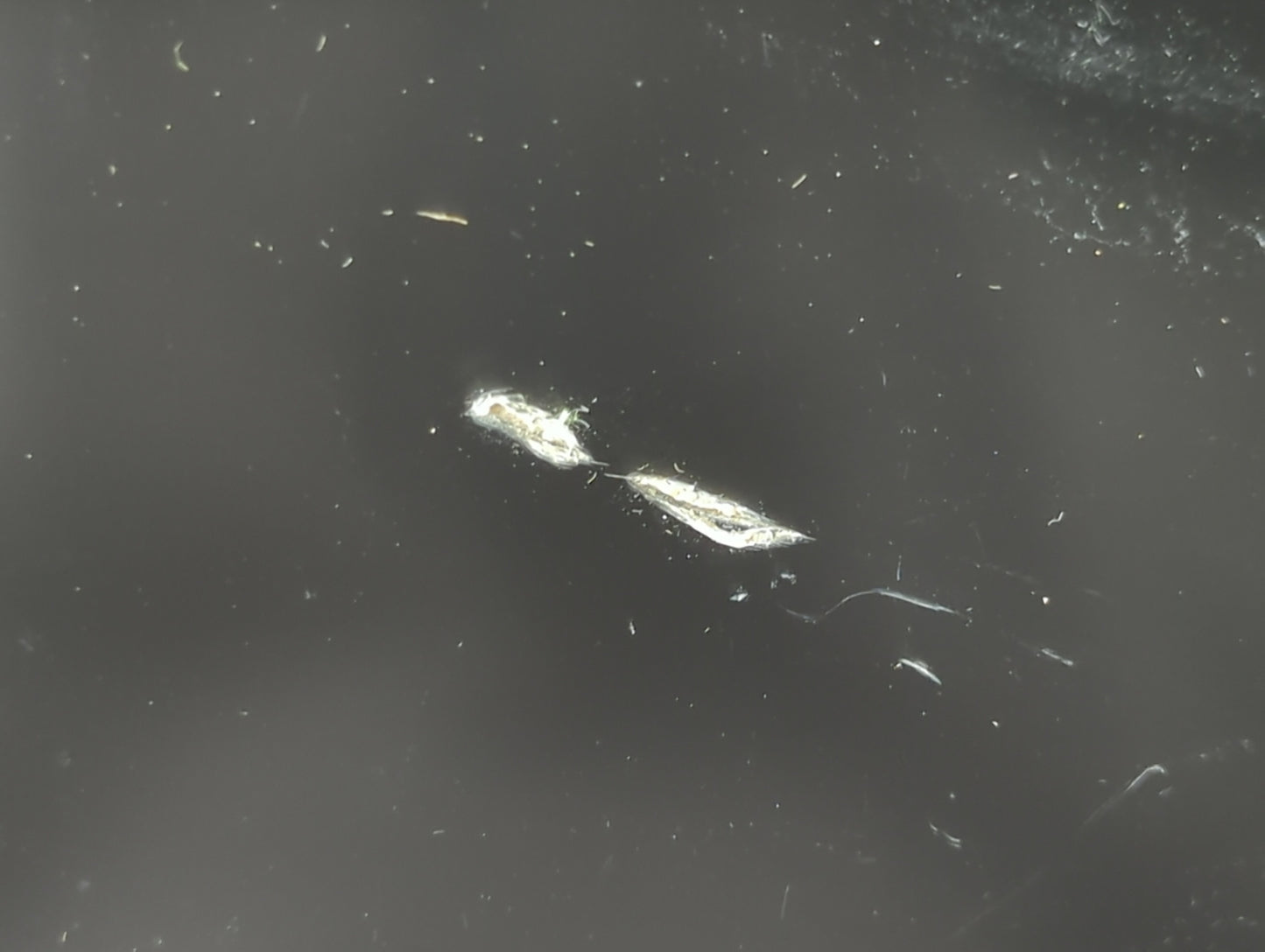 Keychain Infiniti Information Display Screen Black - Oemusedautoparts1.com