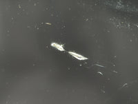 Keychain Infiniti Information Display Screen Black - Oemusedautoparts1.com