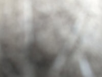 1994-1999 Buick Lesabre Rear Passenger Right Brake Caliper