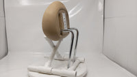 2001 Mercedes-Benz Slk320 Headrest Head Rest Rear Seat Fits OEM Used Auto Parts - Oemusedautoparts1.com