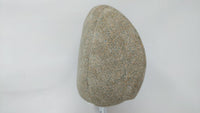 2001 Hyundai Elantra Headrest Head Rest Front Driver Passenger Seat Fits OEM Used Auto Parts - Oemusedautoparts1.com